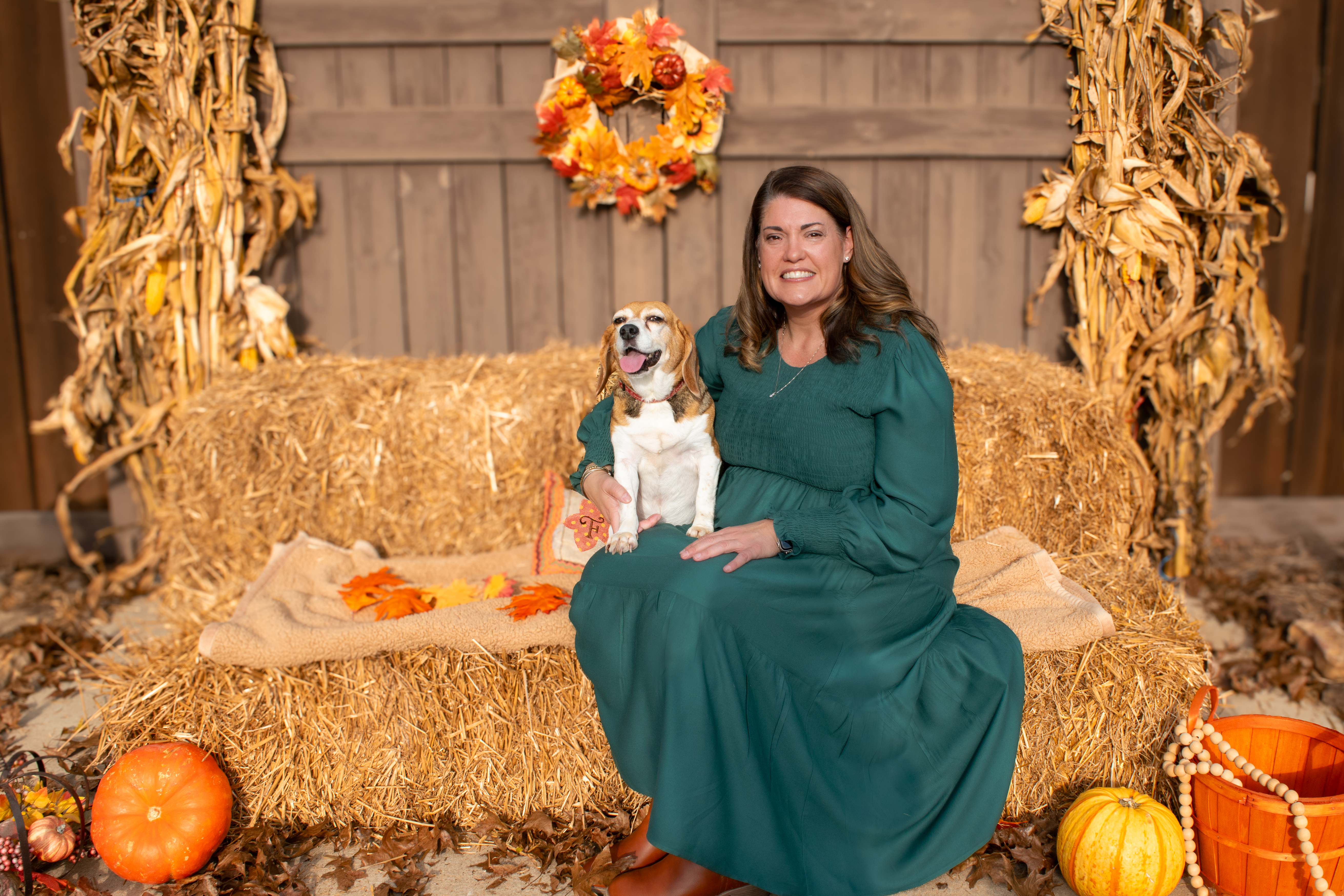 Portfolio Image 13